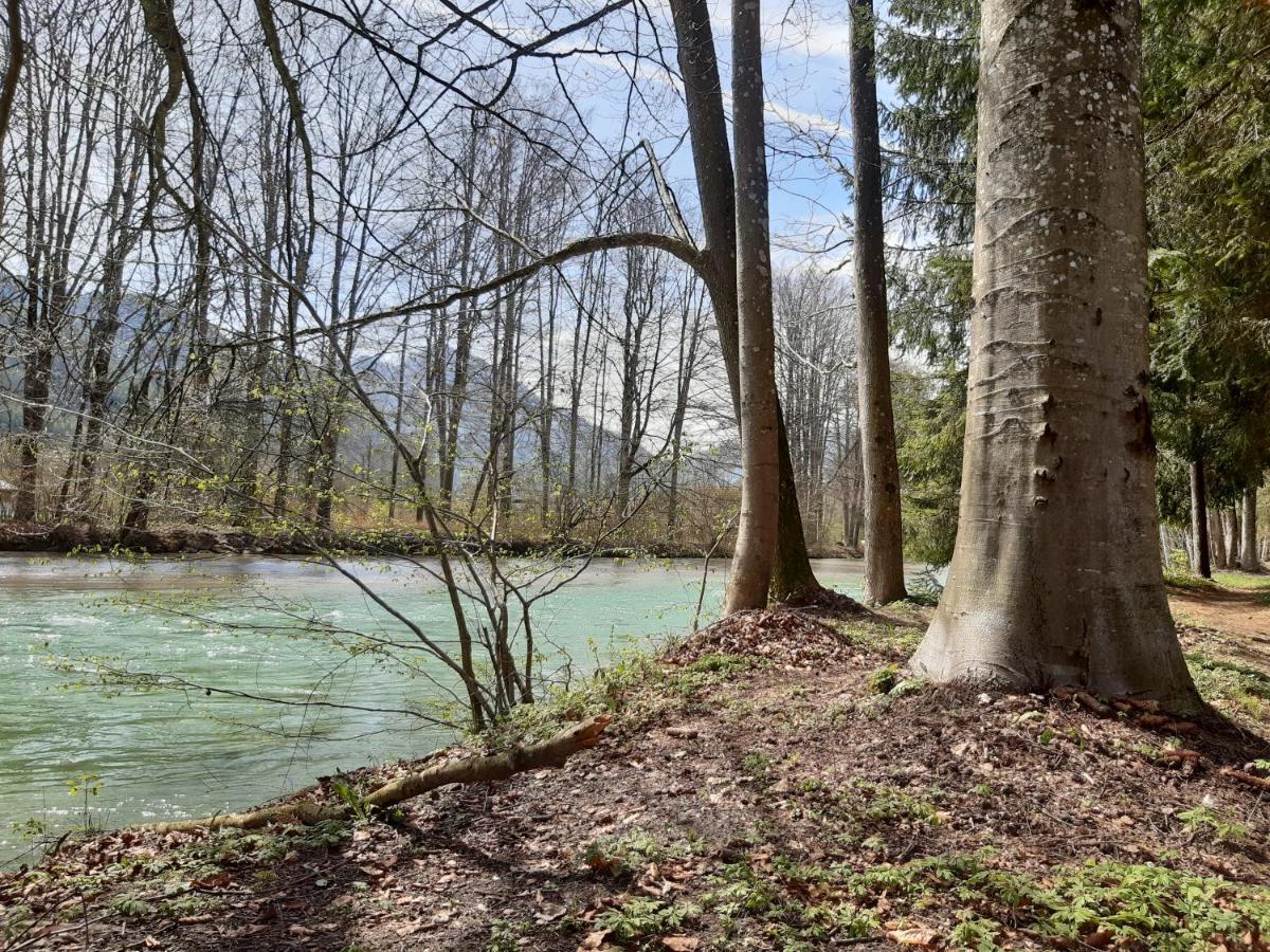 Campingfass Almtal Scharnstein Kültér fotó