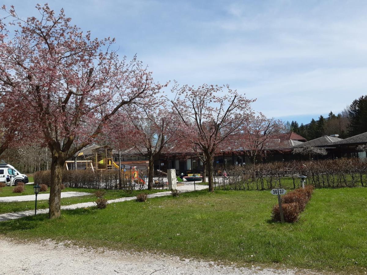 Campingfass Almtal Scharnstein Kültér fotó